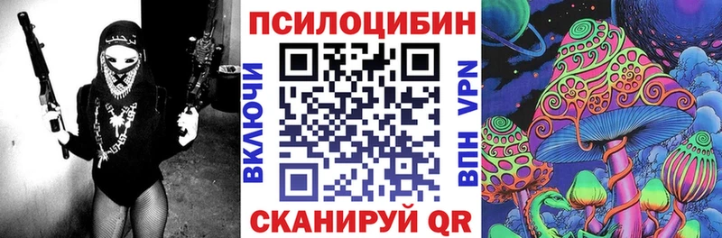 kraken   Лесозаводск  Псилоцибиновые грибы мухоморы 